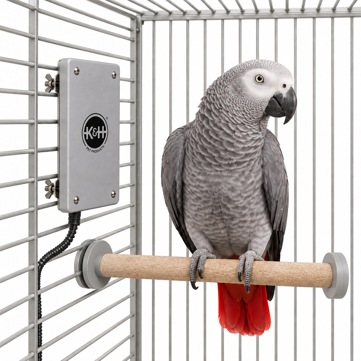 African grey parrot beside a K and H Snuggle-Up bird warming panel